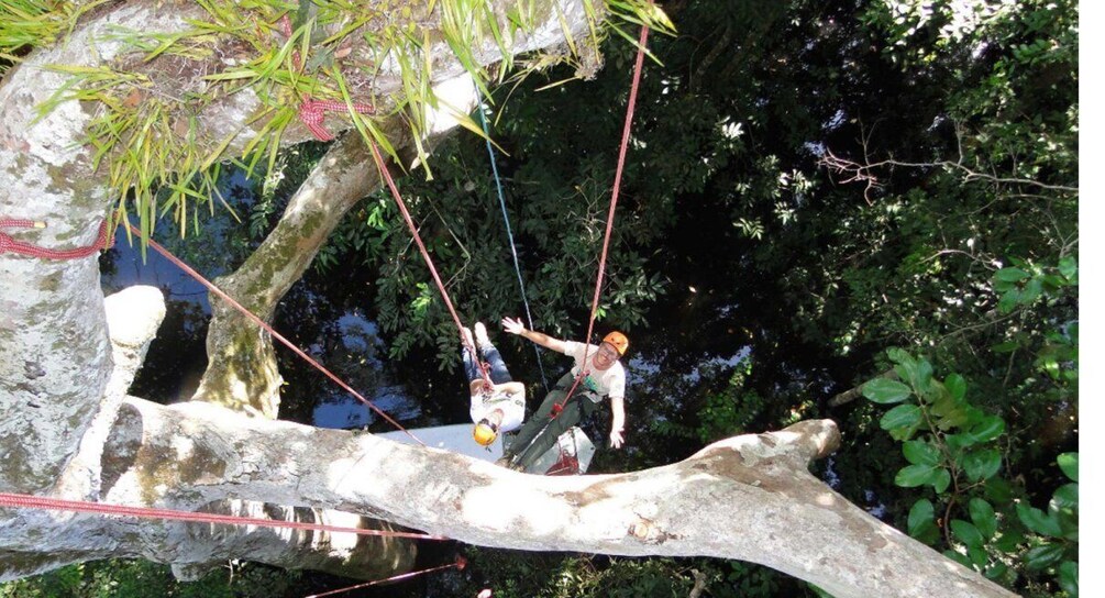 Picture 2 for Activity Amazon Jungle 3-Hour Tree Climbing Activity