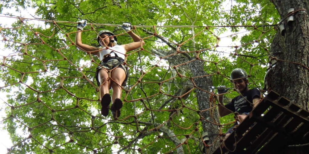 Picture 1 for Activity Amazon Jungle 3-Hour Tree Climbing Activity