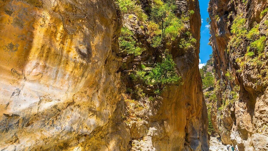 From Chania/Kalyves: Full-Day Samaria Gorge Hiking Day Trip