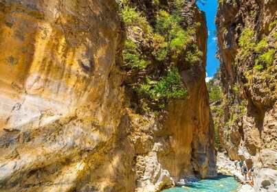 From Chania: Samaria Gorge Hike with Local Mountain Guide