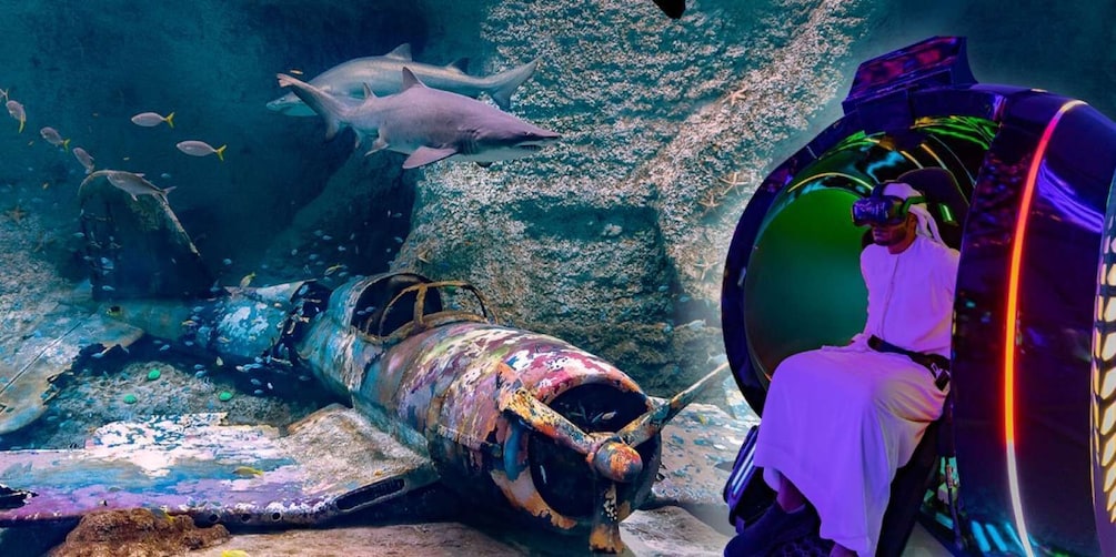 Abu Dhabi: National Aquarium & Pixoul VR Gaming Combo Ticket