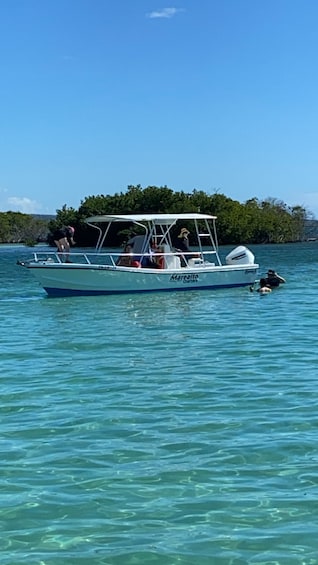 Picture 1 for Activity La Parguera: Sunset Cruise and Bioluminescent Bay Tour