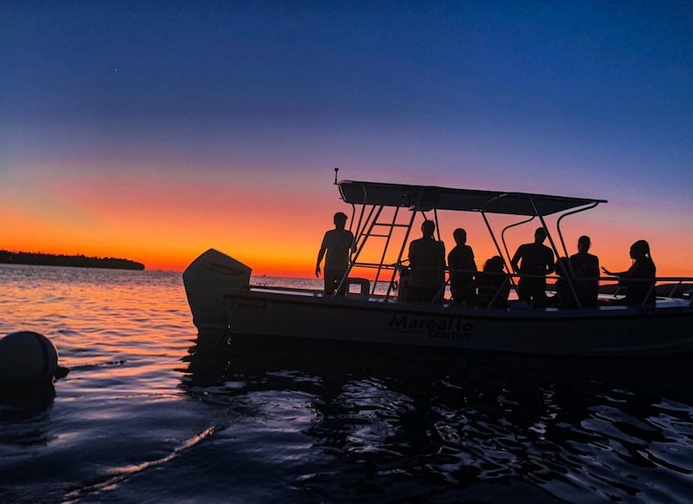 La Parguera: Sunset Cruise and Bioluminescent Bay Tour