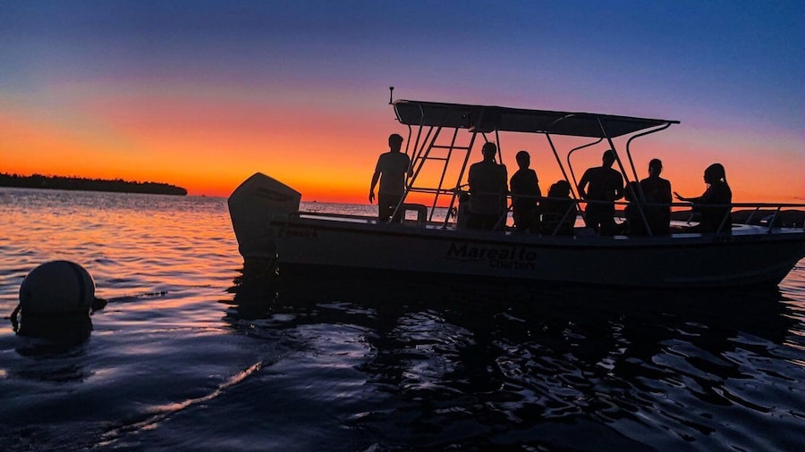 La Parguera: Sunset and Late Night Biobay Cruise