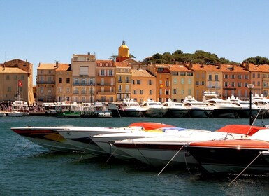 Fra Cannes: Saint-Tropez privat heldagstur med varebil