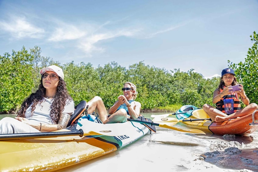 Picture 9 for Activity Holbox: Guided Kayaking Through Holbox's Mangroves