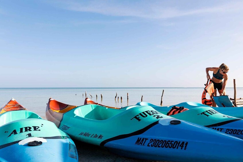 Picture 7 for Activity Holbox: Sunrise Kayak Tour through the Mangroves