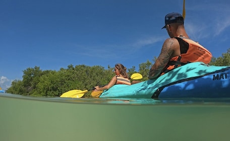 Holbox: Kayaking Through Holbox's Mangroves Reserve