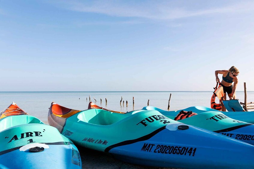 Picture 8 for Activity Holbox: Sunrise Kayak Tour through the Mangroves