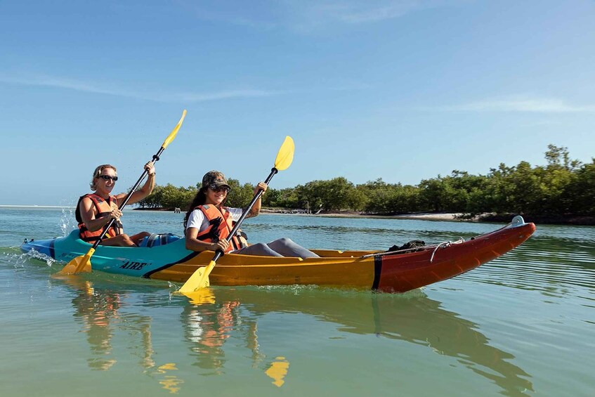 Holbox: Sunrise Kayak Tour through the Mangroves