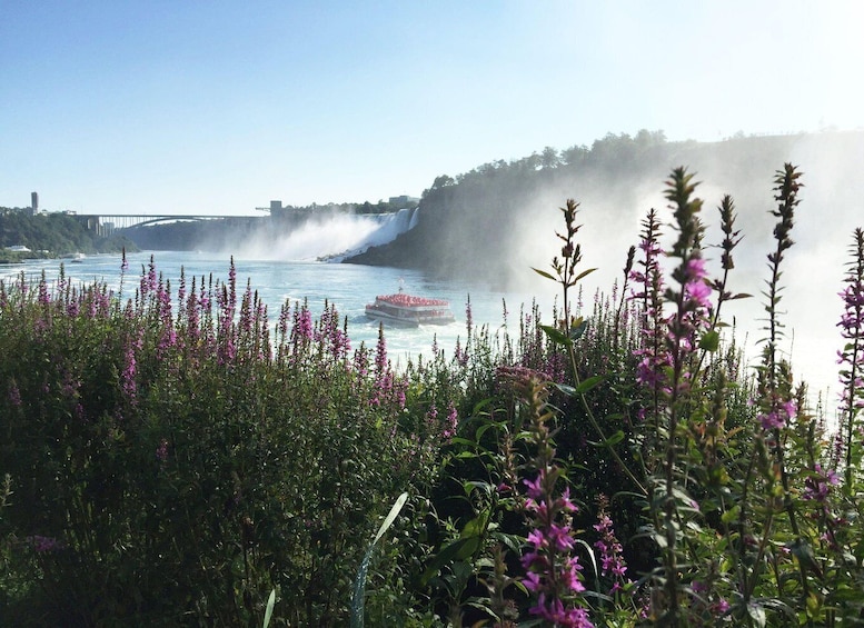 Picture 8 for Activity Toronto: Niagara Falls Day Tour with Boat Cruise Option