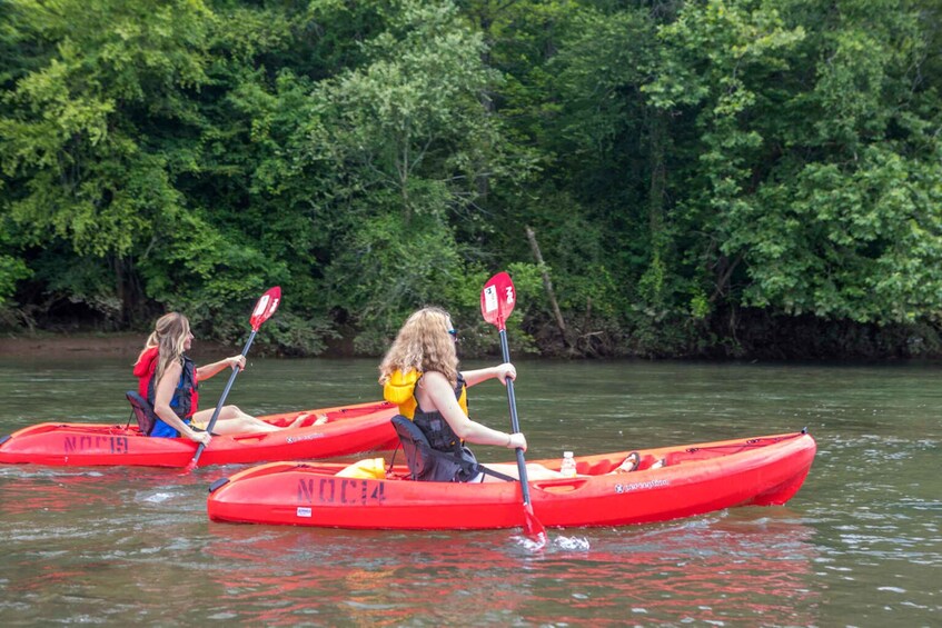 Bryson City: Fontana Lake Guided Kayak Tour