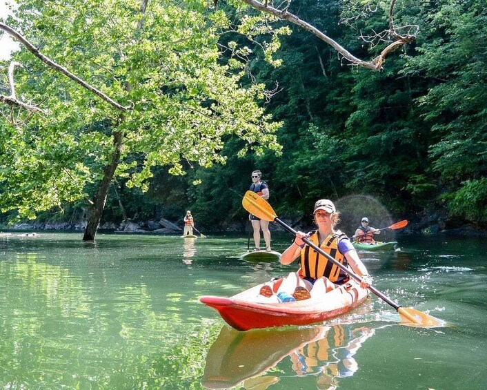 Picture 3 for Activity Bryson City: Fontana Lake Guided Kayak Tour