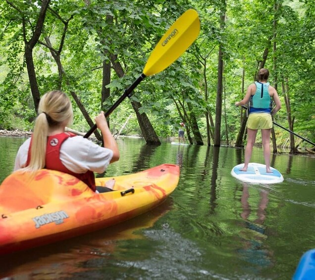 Picture 2 for Activity Bryson City: Fontana Lake Guided Kayak Tour