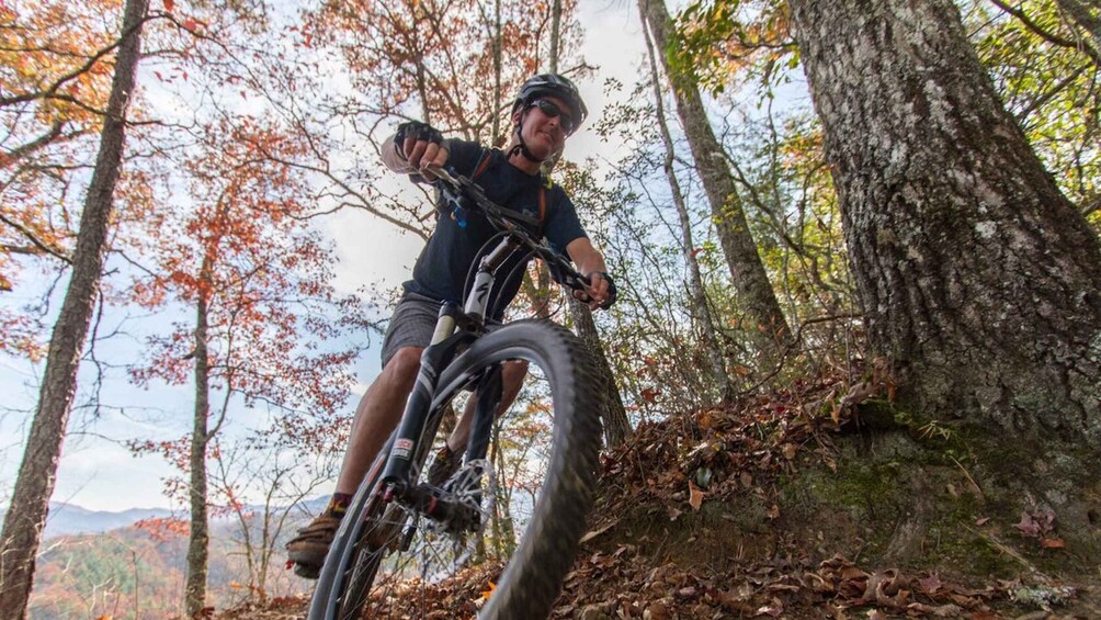 Picture 1 for Activity Bryson City: Tsali Recreation Area Guided Mountain Bike Tour