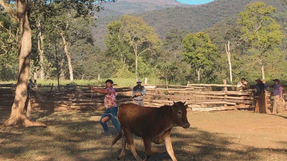 Yungas : full day with gauchos