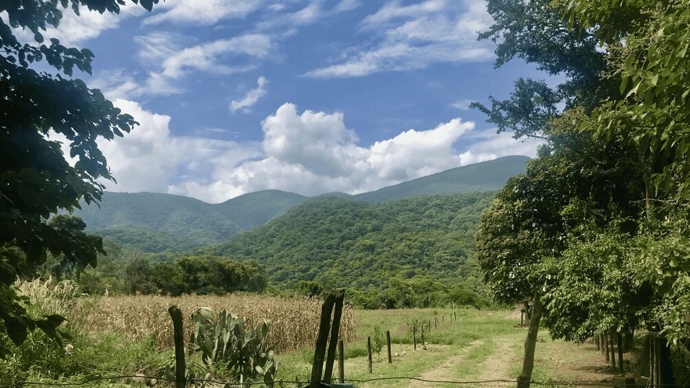 Picture 9 for Activity Yungas : full day with gauchos