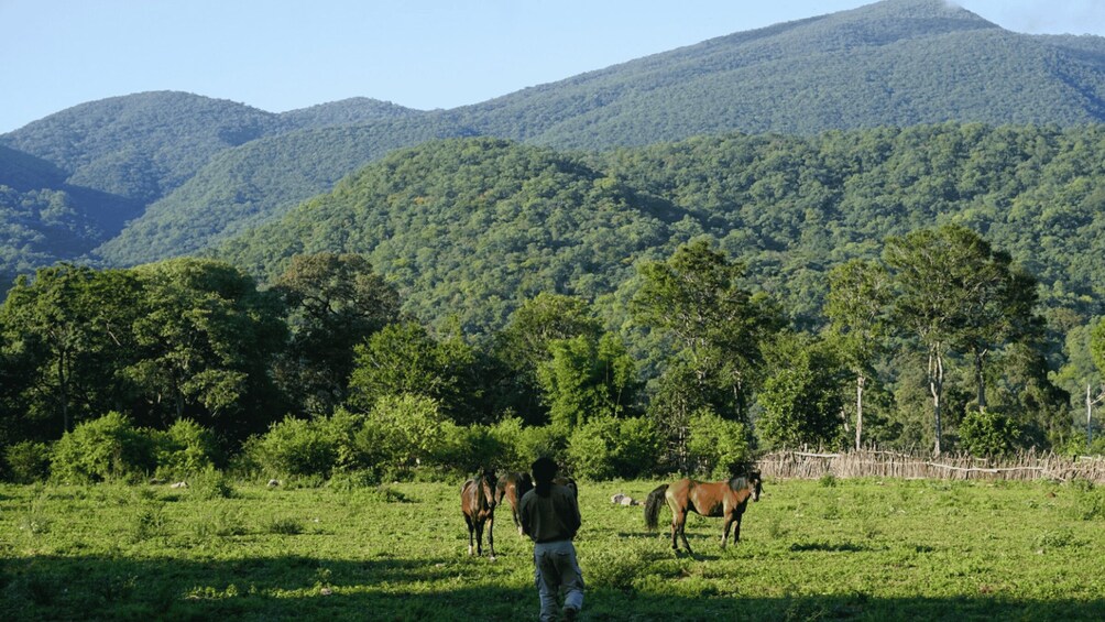 Picture 3 for Activity Yungas : full day with gauchos