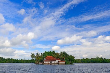 Galle Fort and Fish Massage from Negombo