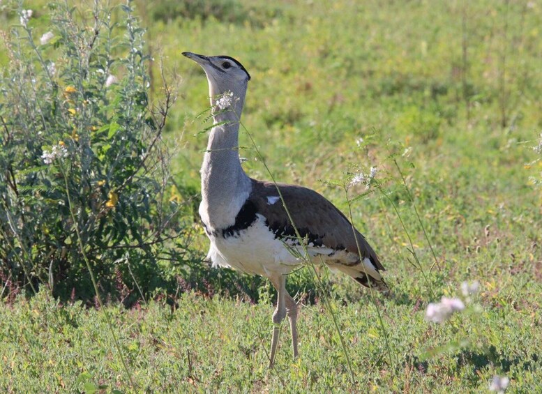 Picture 1 for Activity Winton: Bladensburg National Park Half Day Tour
