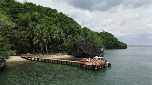 Samana: Los Haitises & Montana Redonda