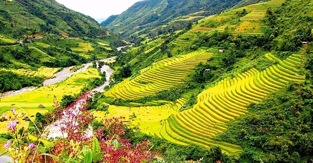 Picture 32 for Activity From Hanoi: 3-Day Sapa Trek with Guide, Homestay and Meals