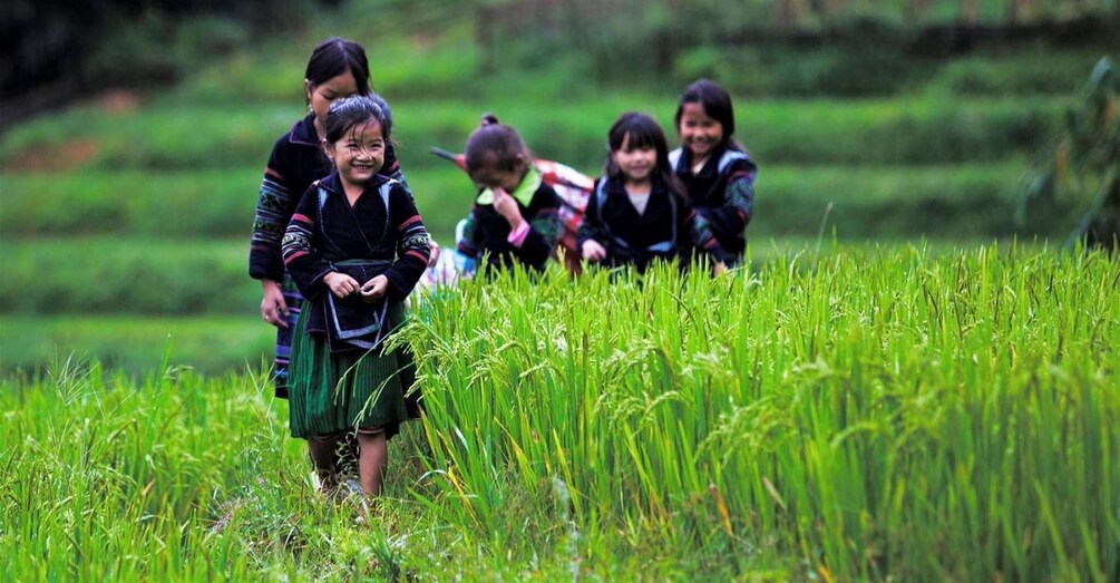 From Hanoi: 3-Day Sapa Trek with Guide, Homestay and Meals