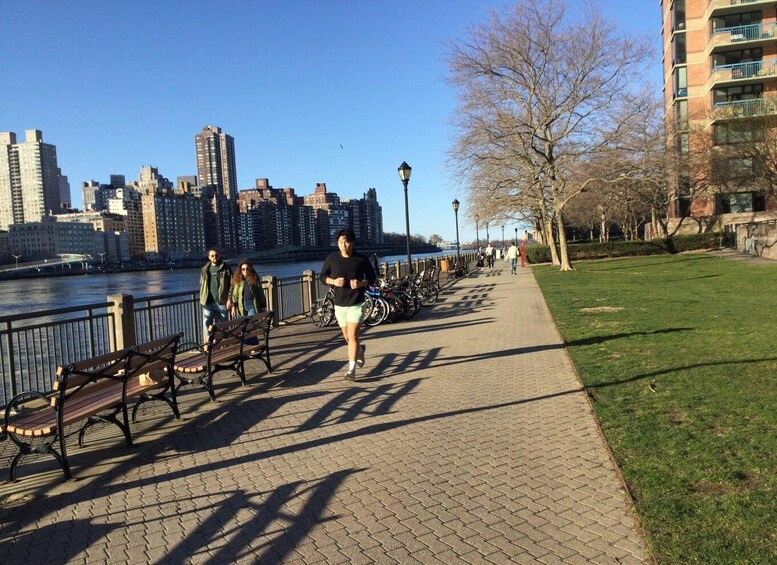 Picture 8 for Activity New York City: Roosevelt Island Walking Tour with Tram Ride