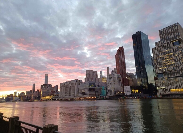 Picture 1 for Activity New York City: Roosevelt Island Walking Tour with Tram Ride