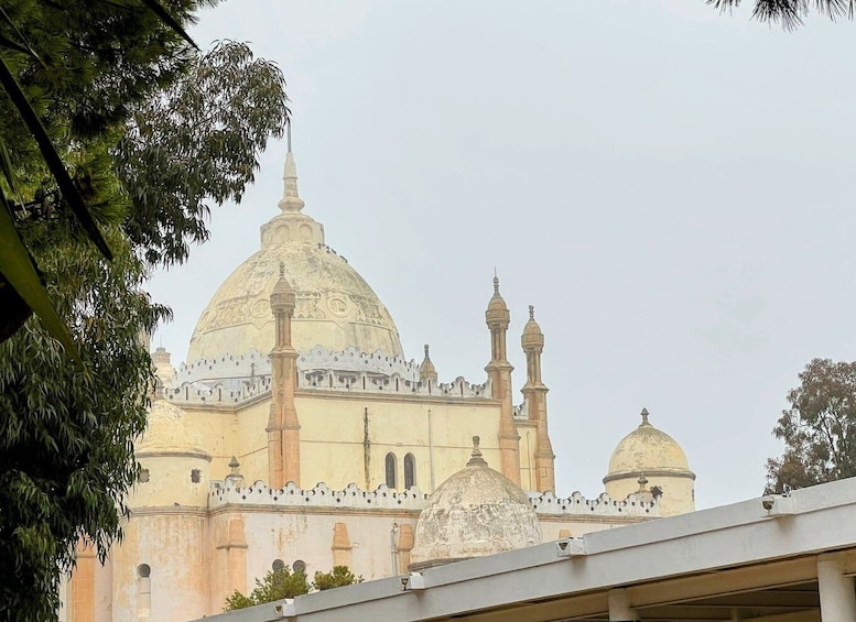 Picture 5 for Activity Tunis: Medina, Carthage, Sidi Bou Said, Bardo Private Tour