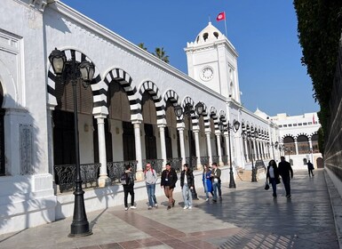 Tunis: Medina, Carthage, Sidi Bou Said, Bardo Private Tour