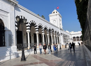 Tunis: Medina, Carthage, Sidi Bou Said, Bardo Private Tour