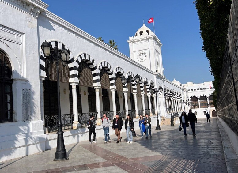 Tunis: Medina, Carthage, Sidi Bou Said, Bardo Private Tour