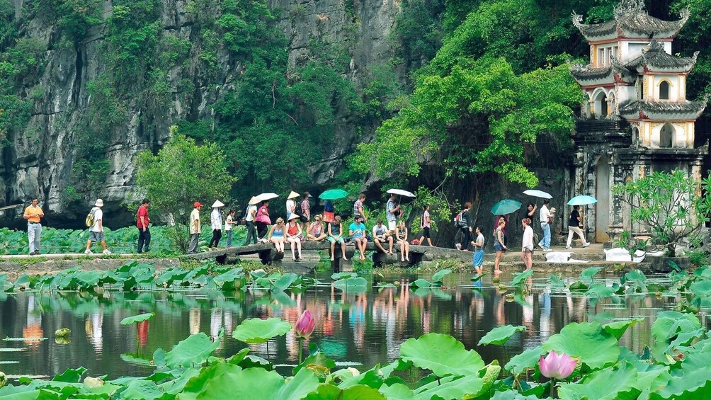 Picture 4 for Activity From Ninh Binh: Bai Dinh, Trang An,Mua Cave Small Group Tour