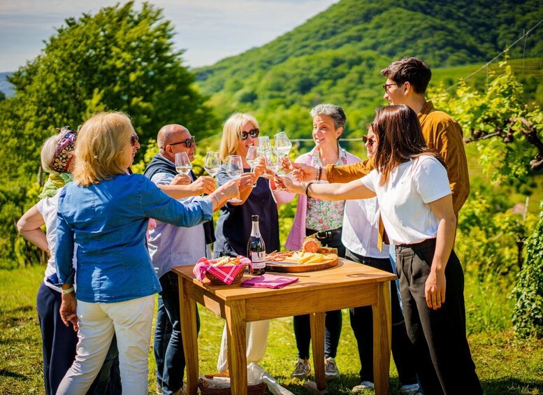 Valdobbiadene:Prosecco Superiore Hills Tour with WineTasting