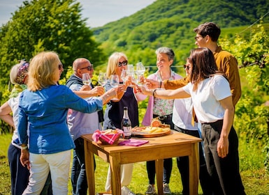 Valdobbiadene: Prosecco Hills Tour with Wine Tasting