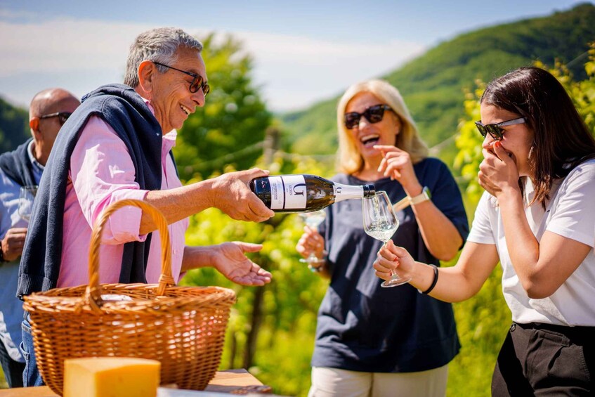 Picture 1 for Activity Valdobbiadene:Prosecco Superiore Hills Tour with WineTasting