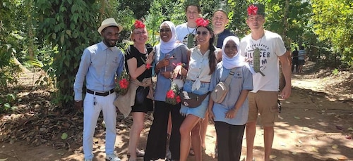 Zanzibar: Kruidenboerderij tour met traditionele kookles