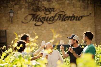 Desde San Sebastián: Rioja Uncorked - Viaje privado a bodegas