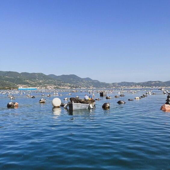 Picture 5 for Activity Portovenere: Lerici Boat Tour with Aperitif on board