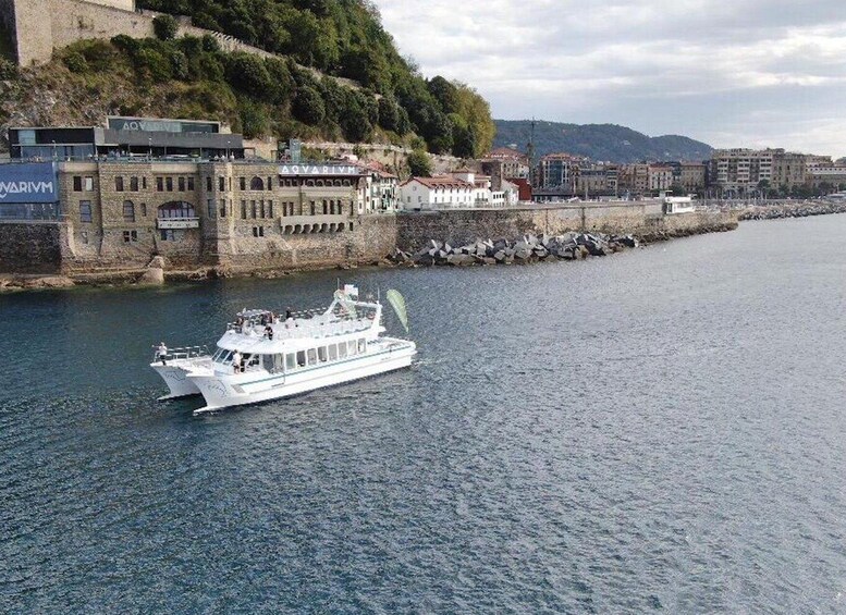 Picture 8 for Activity San Sebastian: Panoramic Catamaran Tour of the Bay and Coast