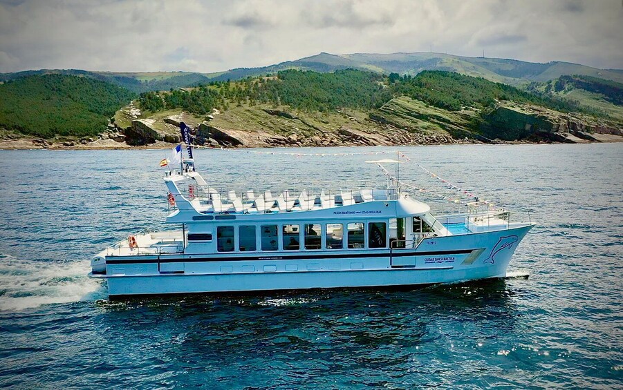 Picture 16 for Activity San Sebastian: Panoramic Catamaran Tour of the Bay and Coast