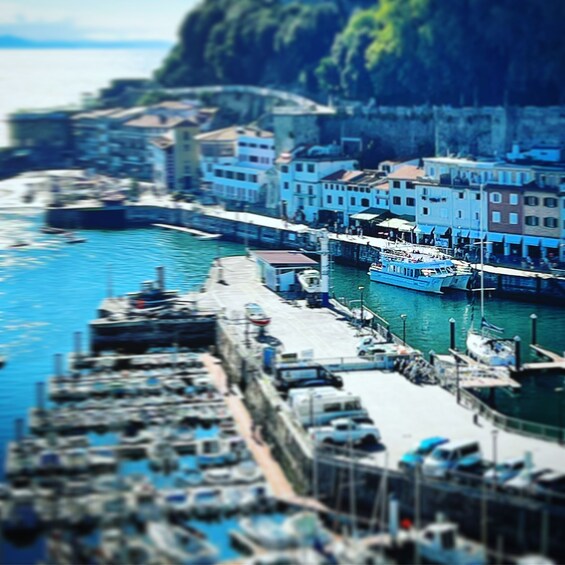 Picture 18 for Activity San Sebastian: Panoramic Catamaran Tour of the Bay and Coast