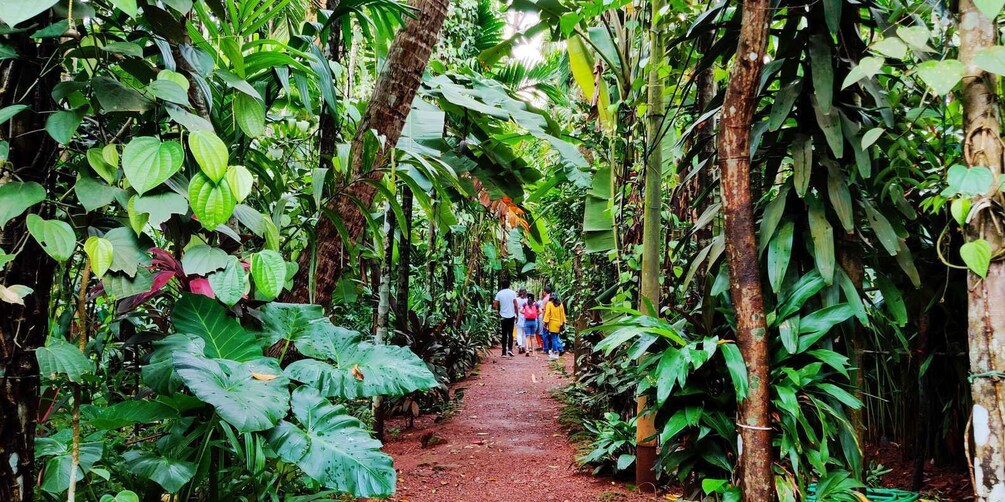 Picture 8 for Activity Goa: Private Full-Day Sightseeing Highlights Tour