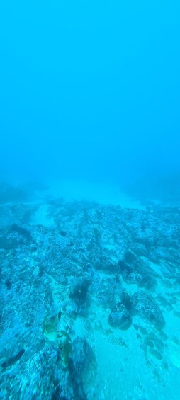 Picture 7 for Activity Sesimbra: First Scuba Diving Experience in the Ocean