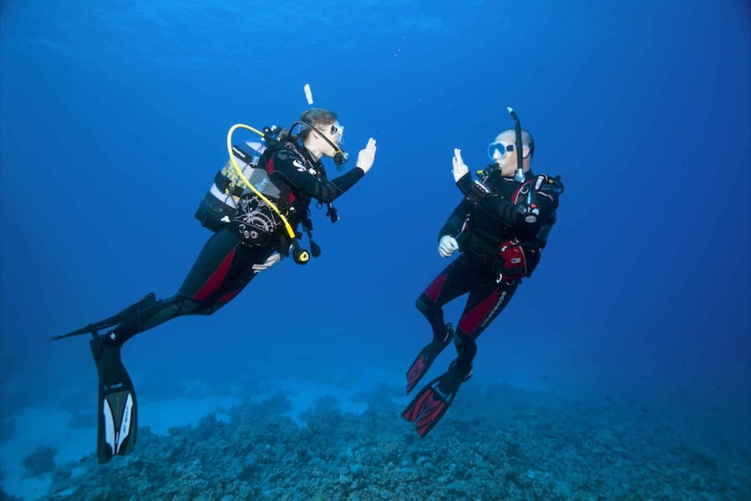 Picture 4 for Activity Sesimbra: Try Scuba Diving