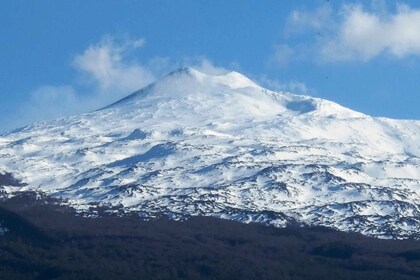 Depuis Syracuse : Randonnée matinale sur le volcan Etna excursion