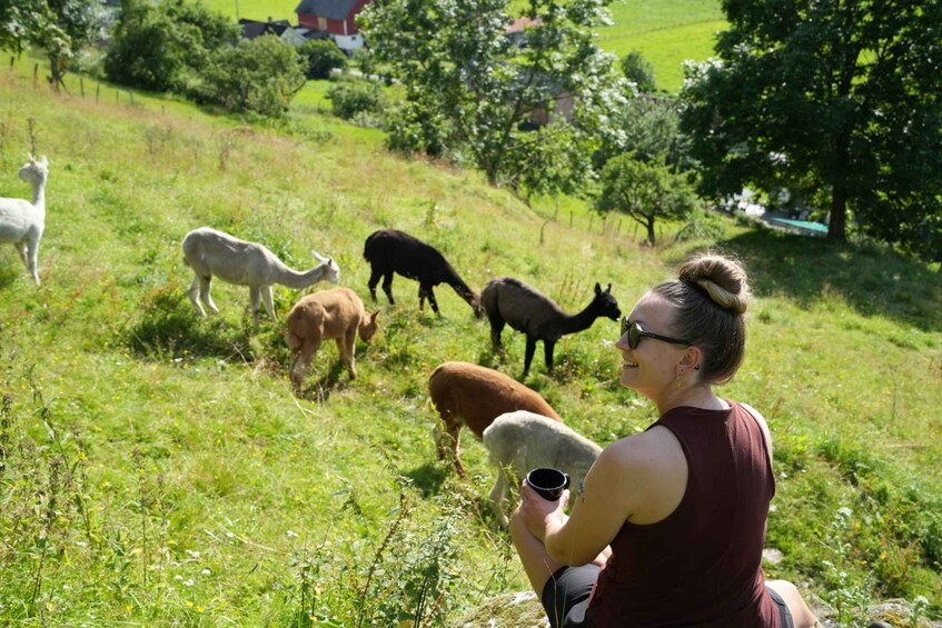 Picture 5 for Activity Vik i Sogn: Authentic Farm Visit