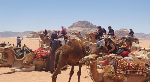 Dari Amman/Bandara: Tur Khusus Yordania Pribadi 3 Malam