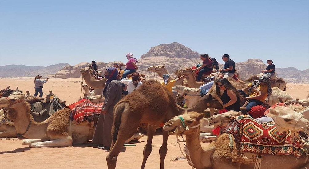 From Amman/Airport: 3-Night Private Jordan Special Tour